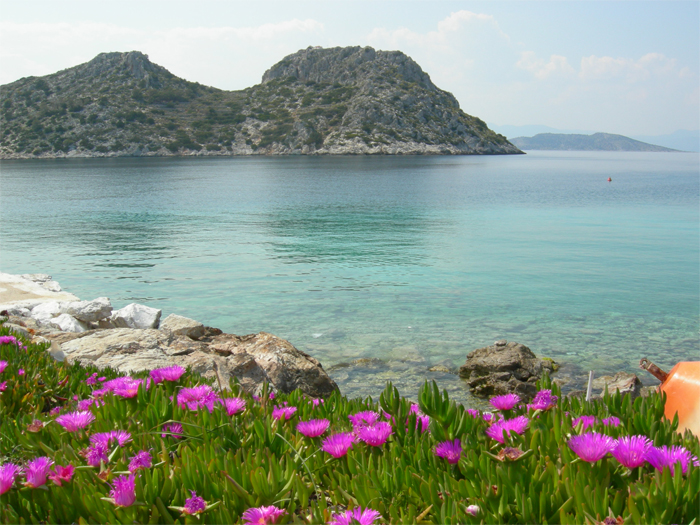 Τι να κάνετε